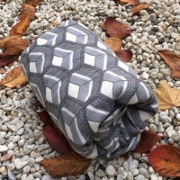 25289731_10155429170157701_2525196873879446093_n